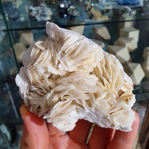 Baryte, Mine de Baugis, Saint-Bresson, Le Vigan, Gard (30), Occitanie, Fr - Picture 6 of 10