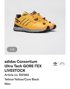 adidas ultra tech gore tex