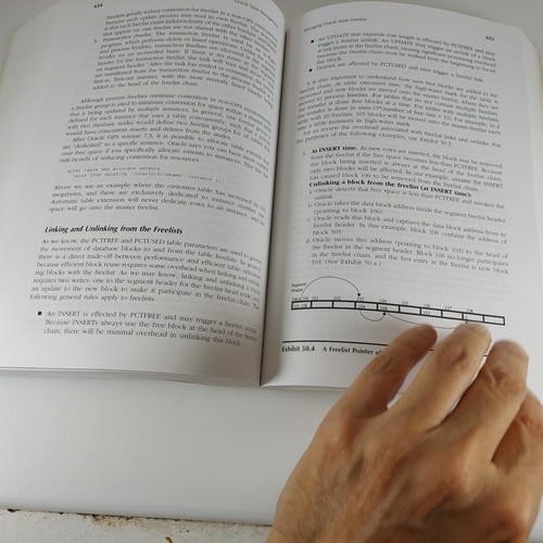 Oracle Internals: Tipps, Tricks und Techniken für DBAs 2002 Erstdruck PB - Bild 12 von 13