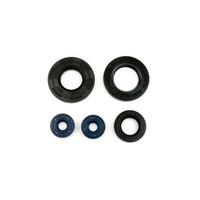 Serie Parolio Motor Aprilia Leonardo 125-150 FüR Rotax 120 96 2T
