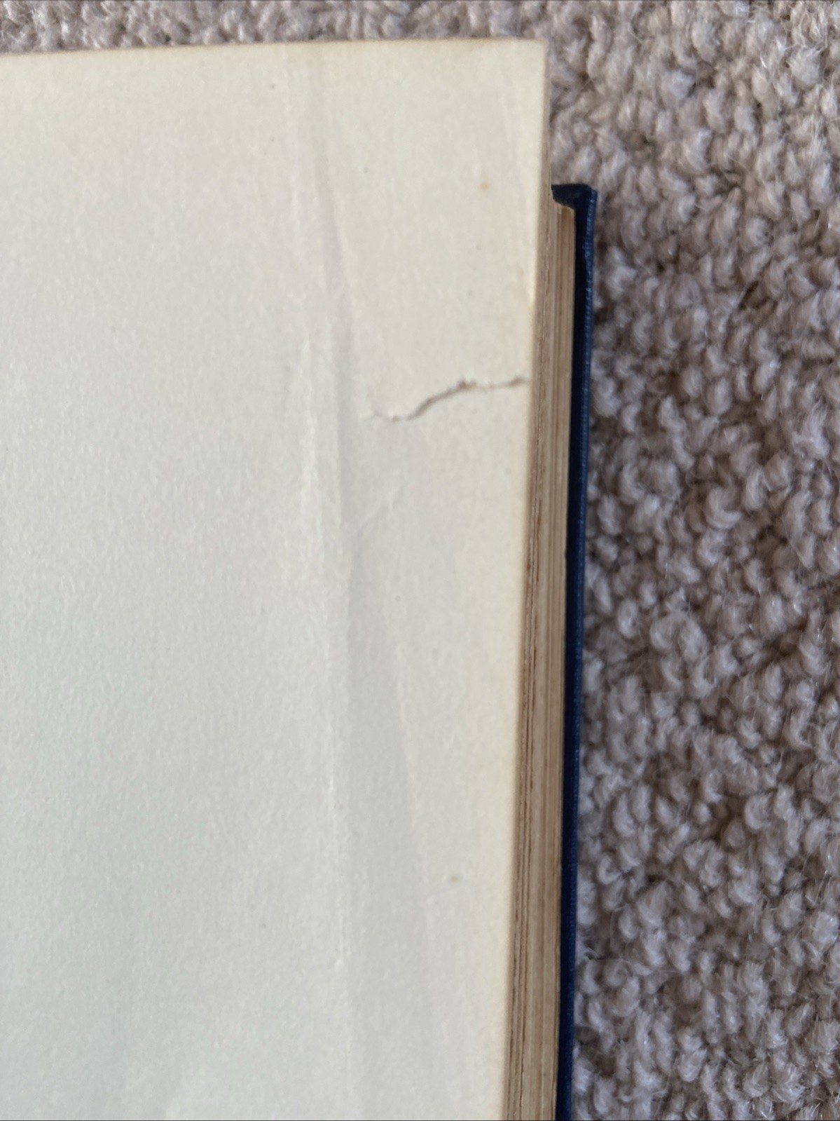 Picture 2 of 24