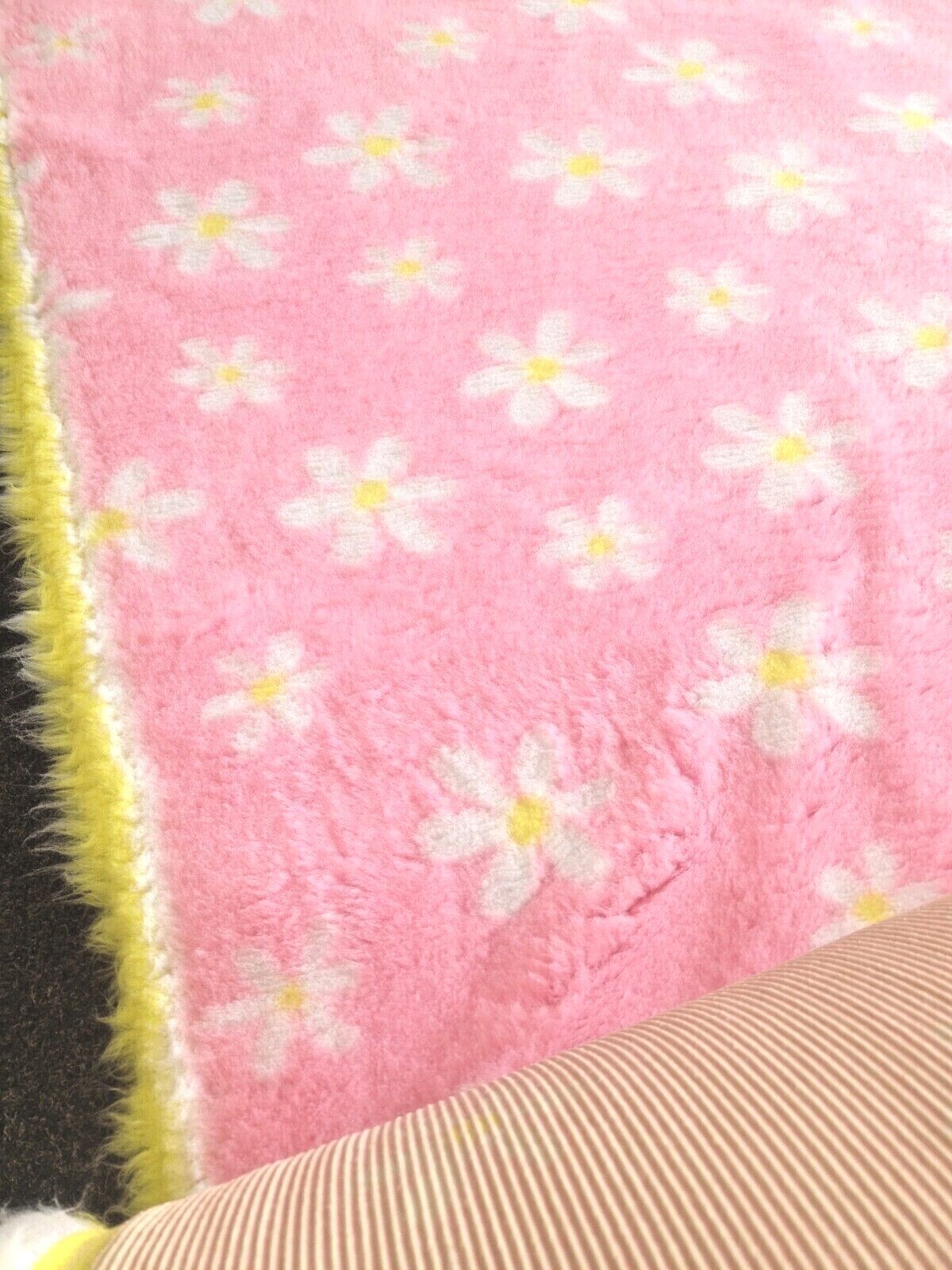 Picture 8 of 22