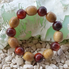 Beautiful Raja Kayu Agathis Alba & Kemuning Emas Wood Orange Jasmine Bracelet