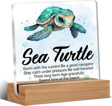 Inspirational Motivational Gifts - Turtle Gifts for Women Men - Sea Turtle Clear