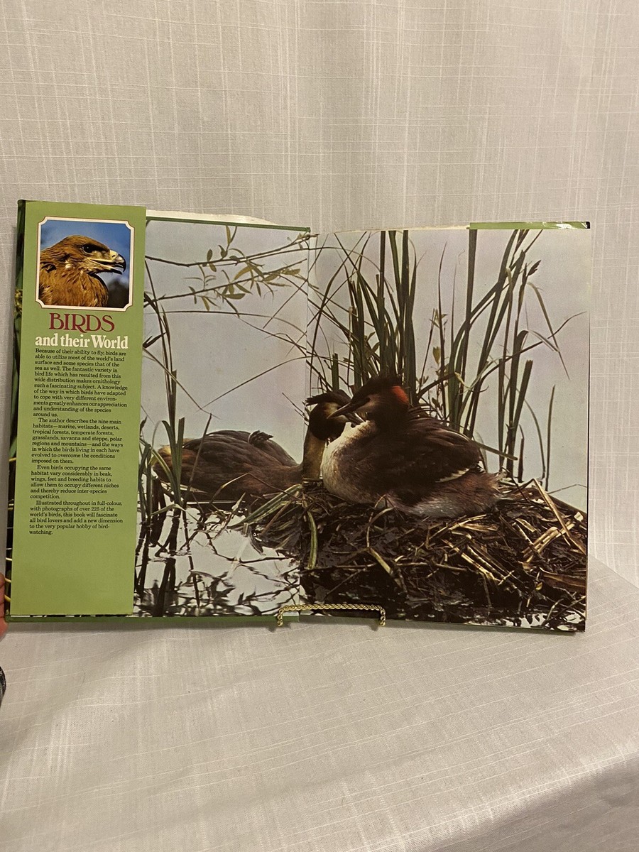 アート・デザイン・音楽 BIRDS and their World John Andrews Birds and Their World Hardcover John Andrews | eBay