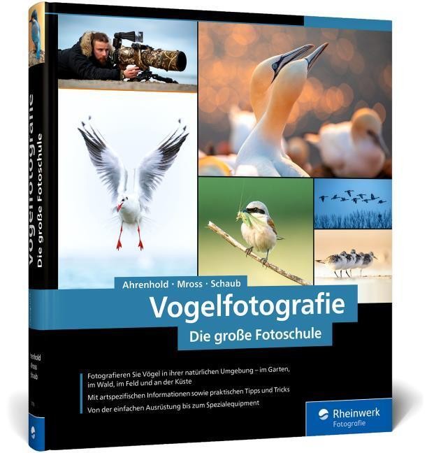 Vogelfotografie Eike Mross