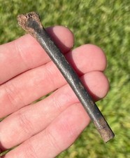 Fossil Bird Bone Avian Florida Rare Pleistocene Ice Age