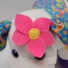 Bild 9 von 20