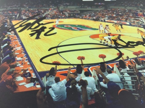 Florida Gators Basketball Signed Brewer & Noah O'Connell Center Panoramic Print - Picture 5 of 12