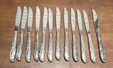 Vintage Wm Rogers Mfg Co Extra Plate 12 knives Allure Teatime Silver plate