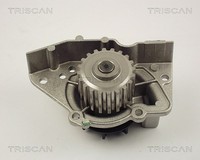 Triscan Wasserpumpe, MotorküHlung U.A. FüR CitroËN, Fiat, Lancia, Peugeot