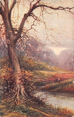 TUCK TOPIGRAPHICAL POSTCARD  DEVON  GOOD PLUS VERY GOOD