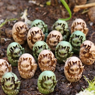 20 Stück Sukkulenten Top Dressing Stein Alter Look Drache Schlüpfen Statue