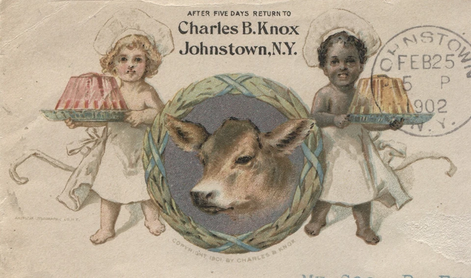 Advertising Cover Johnstown NY Charles B Knox Gelatine multicolor cherub design - Image 2 of 3