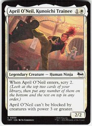 April O'Neil, Kunoichi Trainee #3 Teenage Mutant Ninja Turtles