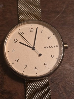 Skagen SKW2625 Signatur Gold Tone Women's Adjustable Strap Stainless Steel Watch