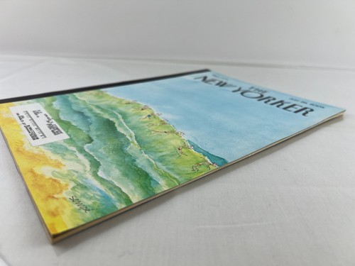 The New Yorker Magazine 2004 Full Issues - You Choose Your Issue - Picture 33 of 63