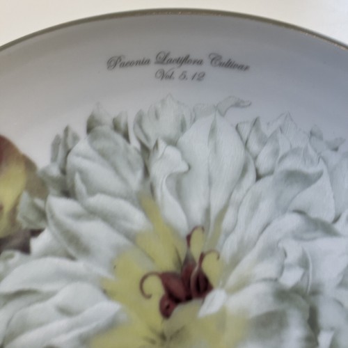Williams Sonoma Botanical Peony Salad Plate(s) 8.5” - Barely Used, 20+ Available - Picture 5 of 10