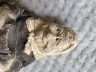 Bild 11 von 11