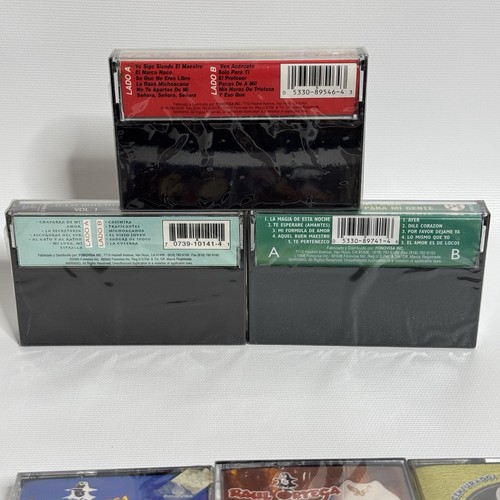 Raul Ortega Cassette Lot A Lo Macho 90s Fonovisa Arre ex Banda Machos Rare New - Picture 2 of 4