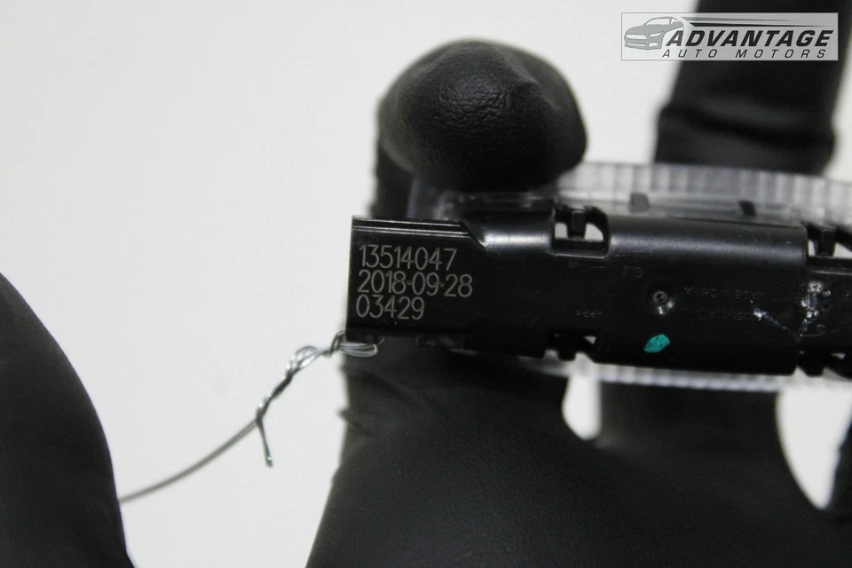 Chevrolet Blazer 2019-2024 maletero trasero derecho puerta trasera luz cortesía lámpara OEM Foto 4 de 4