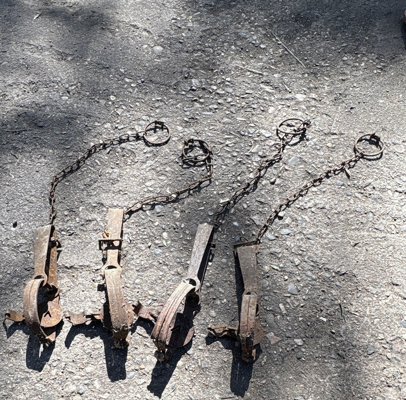 Lot of 4 Metal Foothold Animal Traps, Brown, Chain Feature, With Chains