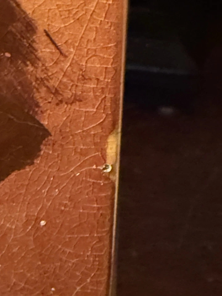 非常罕见 1893 年早期 ARTUS VAN BRIGGLE 瓷砖在 REMBRANDT ROOKWOOD POTTERY 19c 后 — 第 4/4 张图片