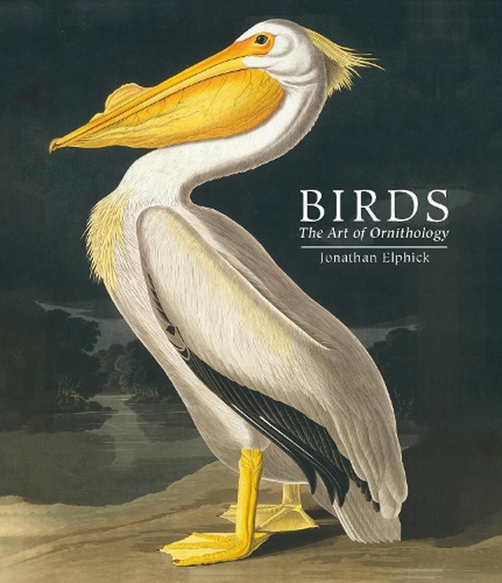 Birds: The Art of Ornithology (Pocket edition) by Jonathan Elphick HB NHM