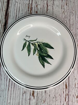 Williams Sonoma Black Bands Rim Green Bay Spice White Salad Plate 8.5 