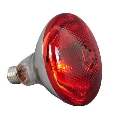 NEU 2X INFRA RED HEAT BULB LAMP RUBY 250W Poultry Chick Brooder Lambs Livestock