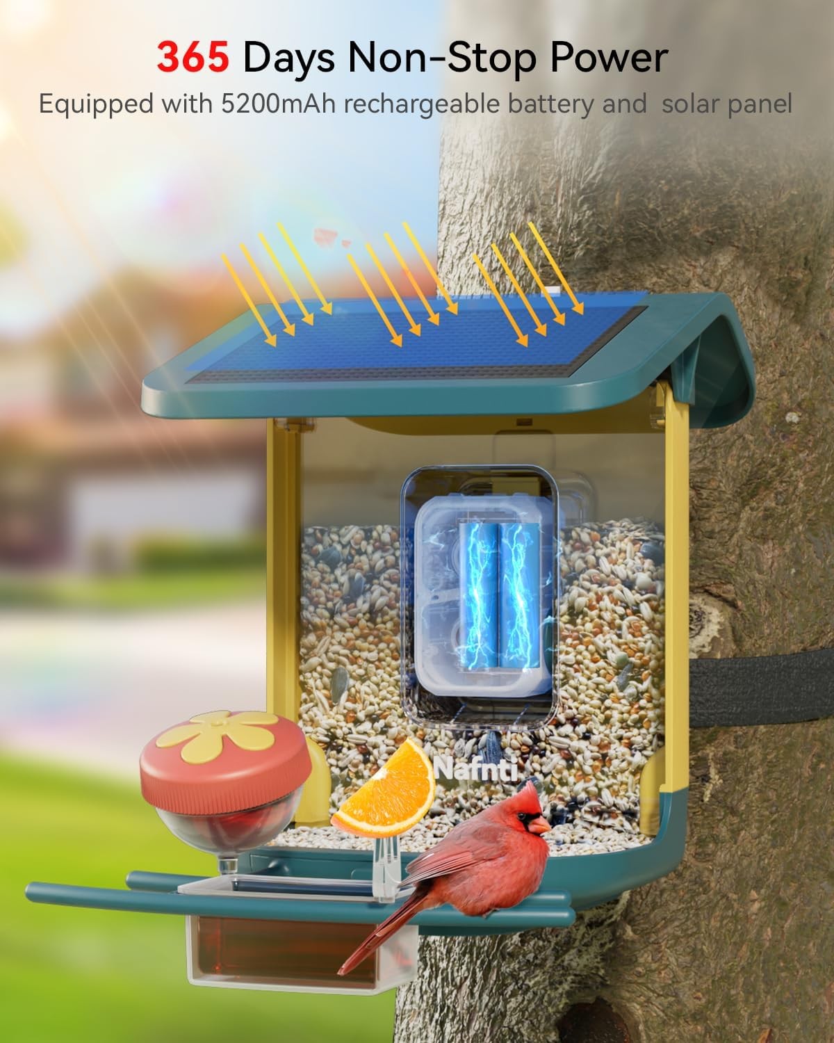 2K Smart Bird Feeder with Camera for Outdoor, Solar Powered, AI Identify 10,000+