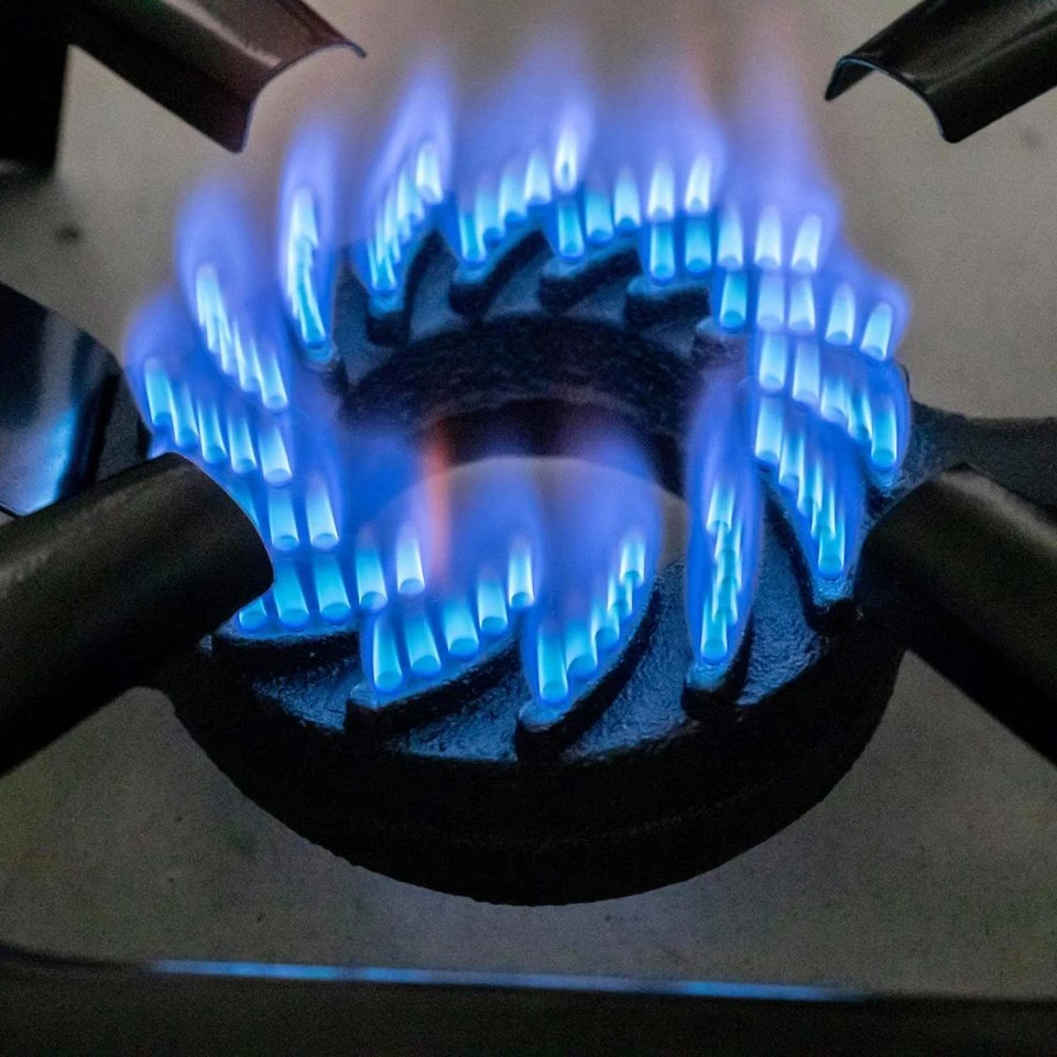 8KW Hockerkocher Gaskocher Camping Gasbrenner Wok mit Schlauch Druckminderer DHL - Bild 4 von 4