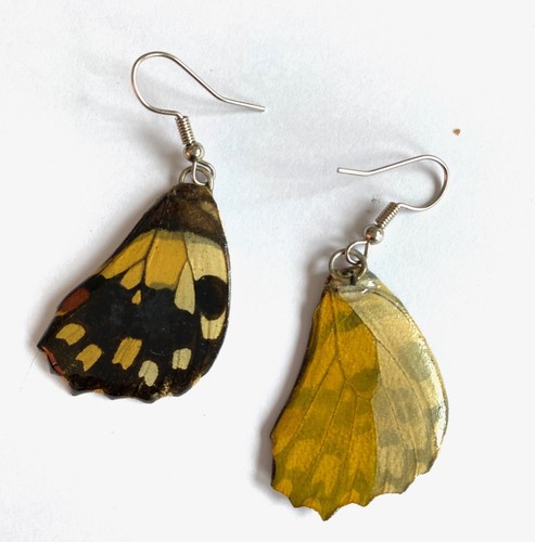 Real Butterfly Wing Earring Brown & Yellow Handmade Resin Jewelry Dangle Hook - Picture 2 of 3