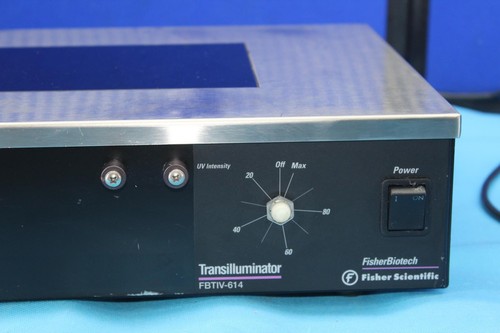 FISHER SCIENTIFIC TRANSILLUMINATOR FBTIV-614 MODEL 614 - Picture 2 of 6