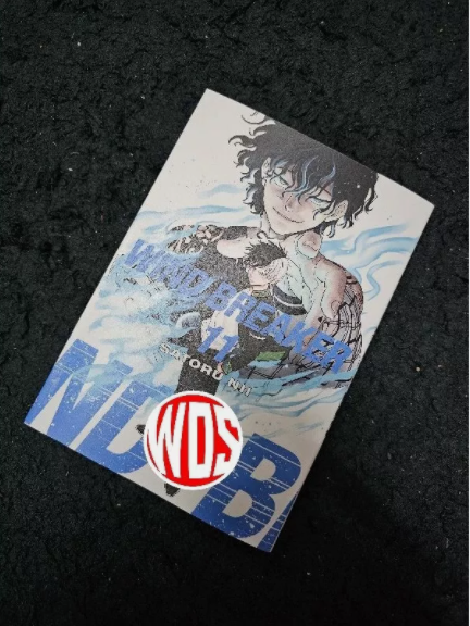 Wind Breaker Manga Set (Volume 1-14) English Version Comic