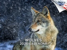 Wolves Calendar 2026 12x18 Made in USA