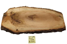 1 Rare Oak Live Edge Tree Knot Slab Rustic Oak Wood Great Coloration SHIPs FREE