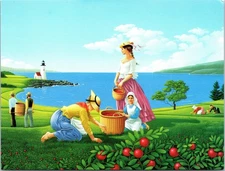 Vintage Celestial Seasonings Cranberry Cove Herb Tea Postcard with Lighthouse