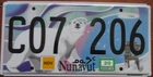 2021 AUTHENTIC NUNAVUT  TERRITORY CANADA BEAR LICENSE PLATE  MINT # C07 206