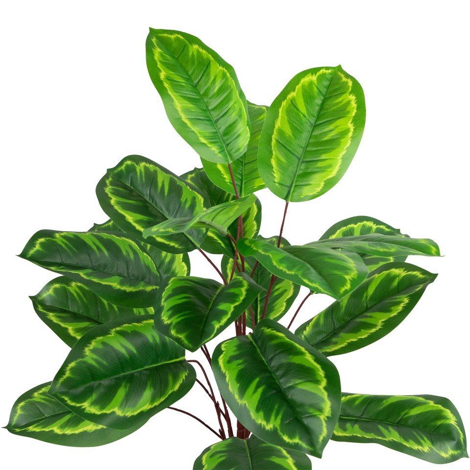 Northlight 30Inch Artificial Large Green Leaf Calathea Potted Plant eBay