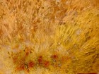 A+ Killer Sumatra Flame Sagenite Agate Indonesia. — photo 8
