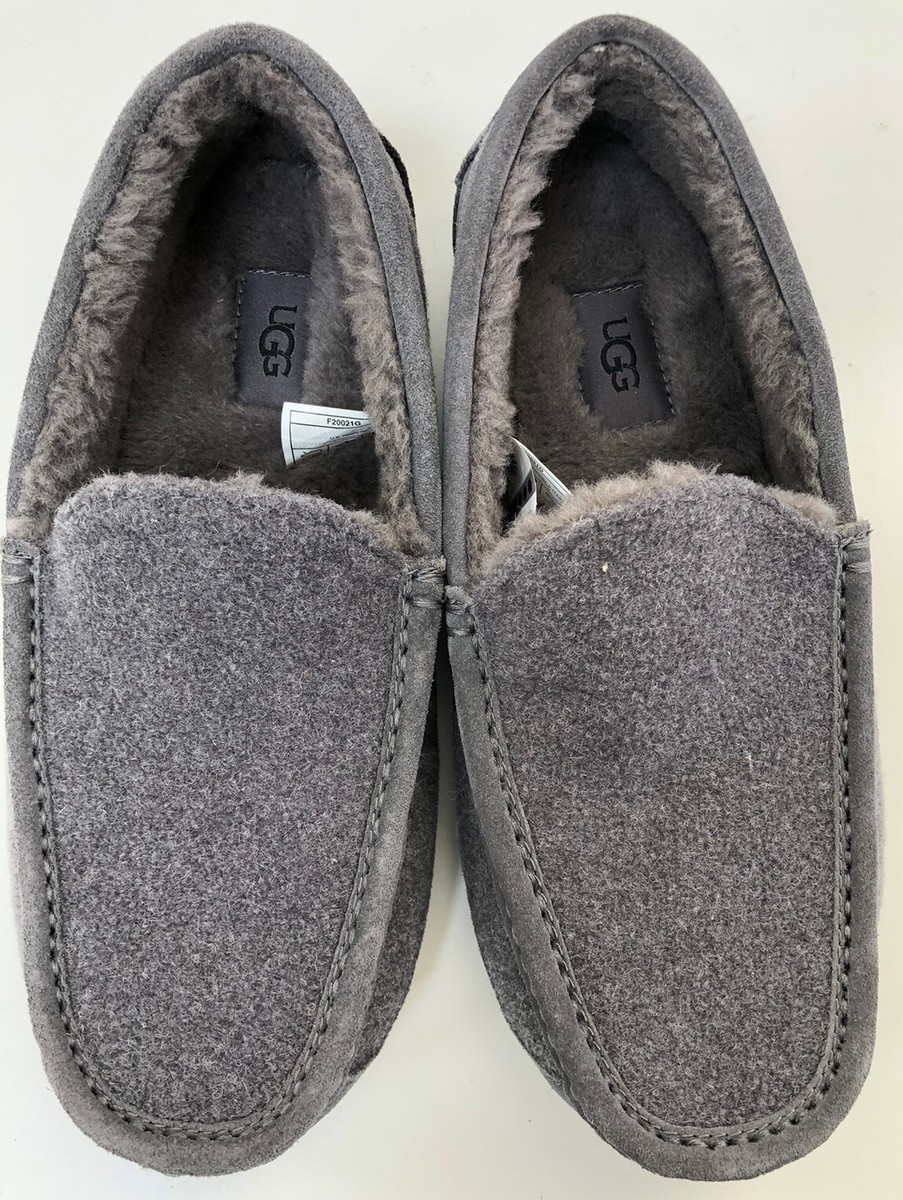 New Ugg Ascot Suede Wool Grey Slip on Slide Mens Size 8 (1103890) s-l400.jpg main image 2