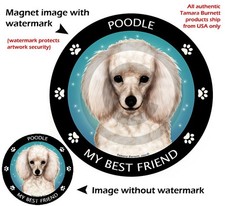 Assorted Poodle My Best Friend Dog Car Magnet