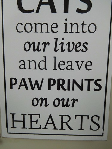 Cats come into our lives and leave Paw Prints.. - Wood sign by Adams & Co.#18661 - Picture 3 of 4