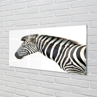 Tulup Acrylglas 100x50 Wandkunst Zebra