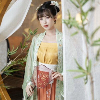 Chinese Style Embroidery Double-Layer Sling High Waist Skirt Hanfu Dress  Set | eBay