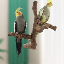 Bird Perch Activity Center Multi Branch Perch for Conures