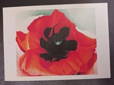 vtg postcard Georgia O'KEEFFE Poppy 1927 painting flowers art unposted