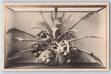 Chicago Illinois IL Postcard Coconut Palm Field Museum Natural History Vintage