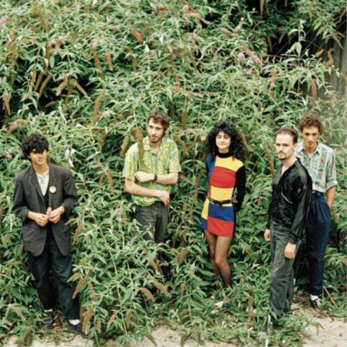 Vox Populi! Psyko Tropix (Vinyl LP) 12" Album